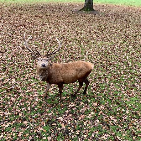 Blair Atholl River Tilt Park Wee But N Ben Hotel Екстериор снимка