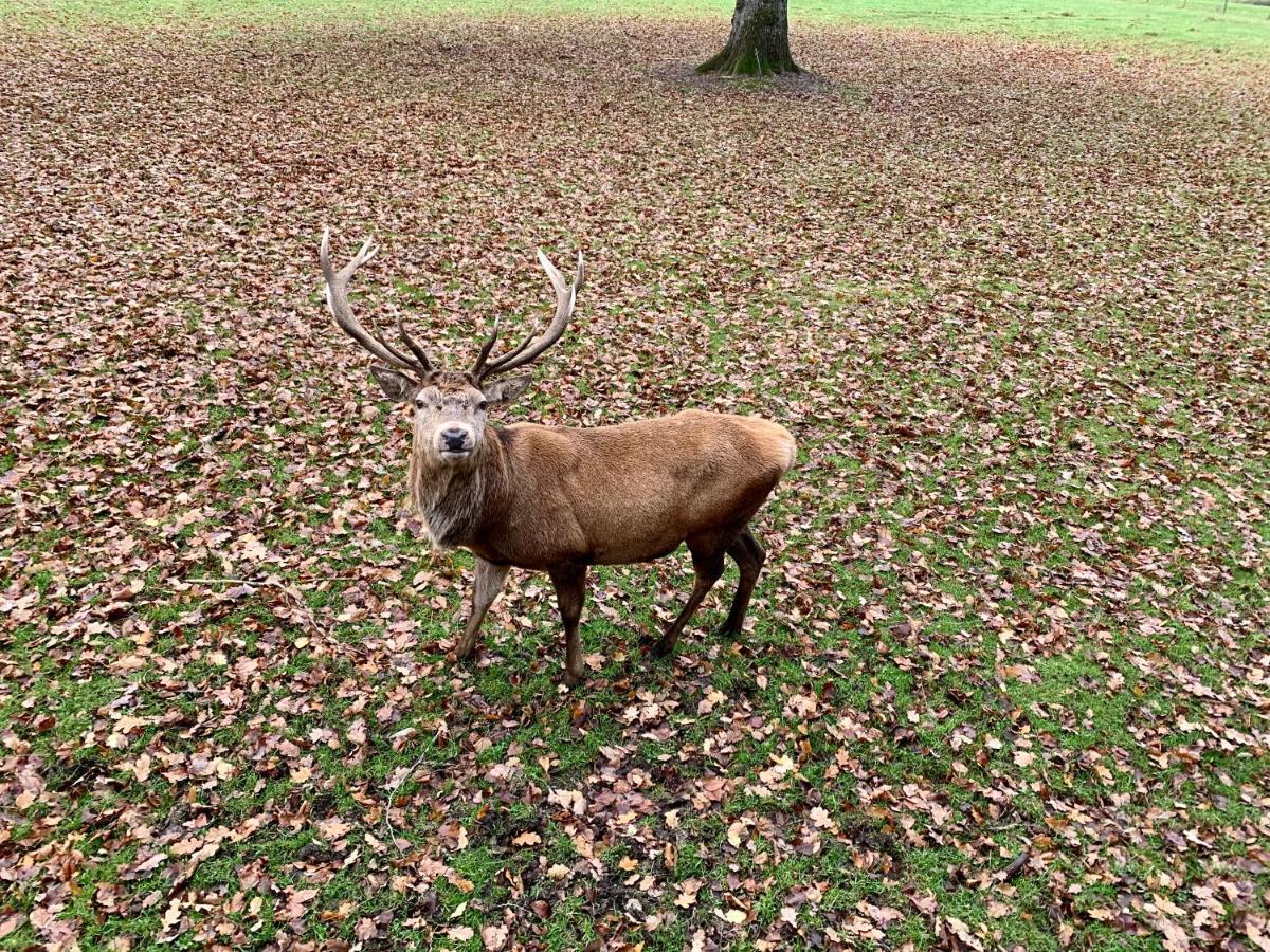 Blair Atholl River Tilt Park Wee But N Ben Hotel Екстериор снимка